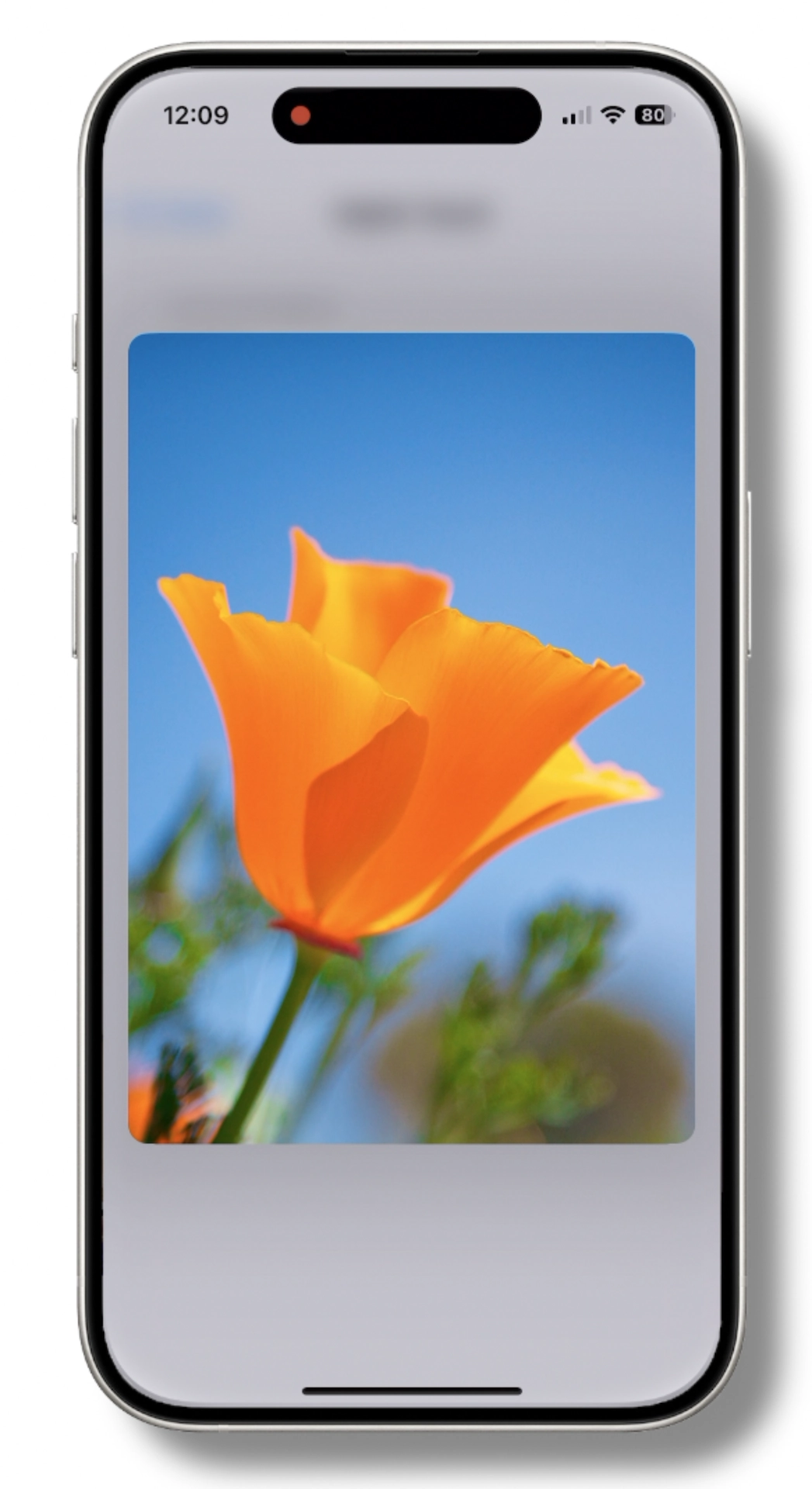 ios17-ustawienia